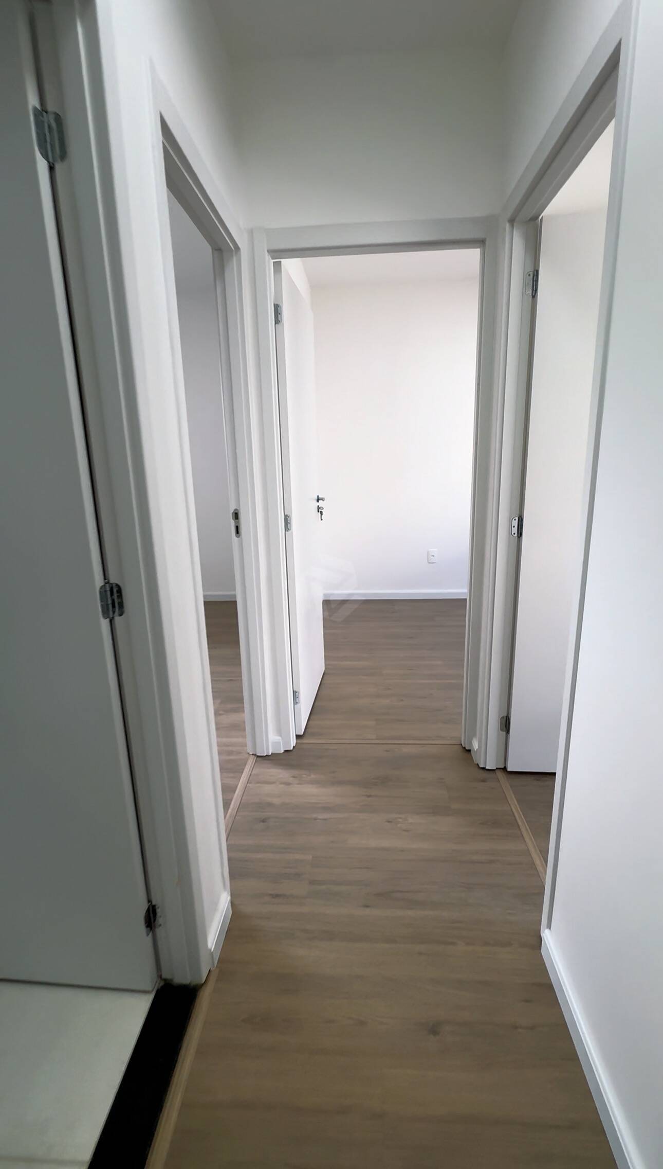 Apartamento, 3 quartos, 54 m² - Foto 3
